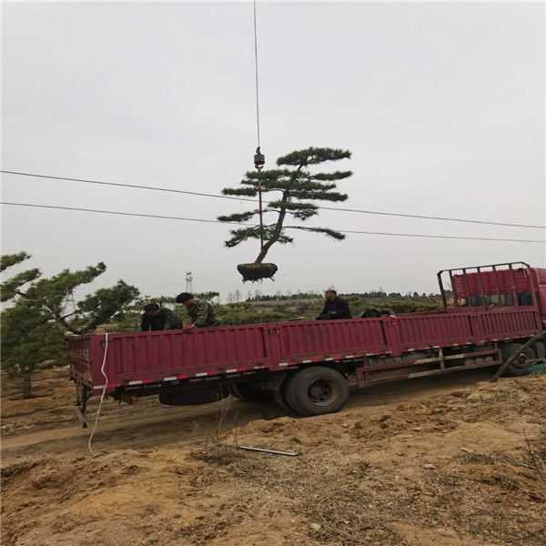 裝車現(xiàn)場